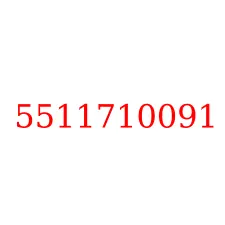 5511710091