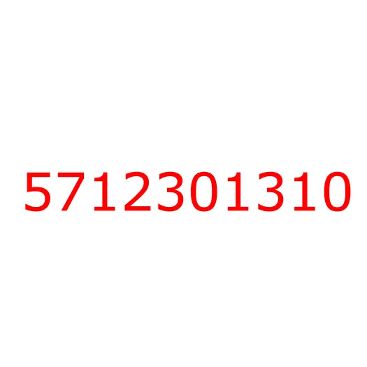 5712301310 07.836 BAR; BACK,RR, 5712301310