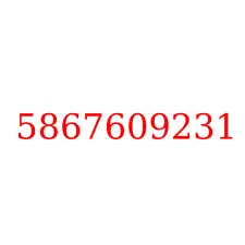 5867609231