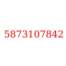 5873107842