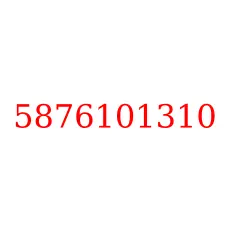 5876101310