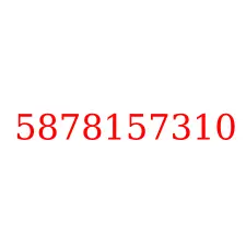 5878157310