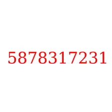 5878317231