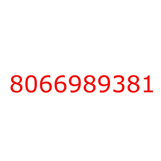 8066989381 гайка, 8066989381