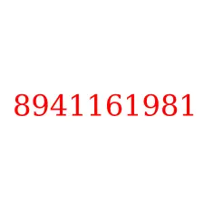 8941161981