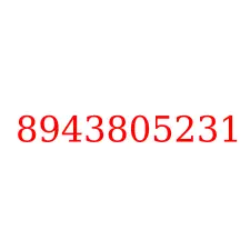 8943805231