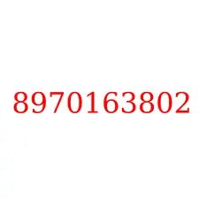 8970163802