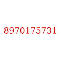 8970175731