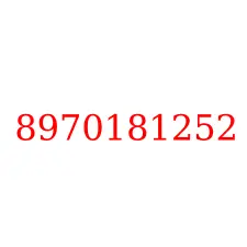 8970181252