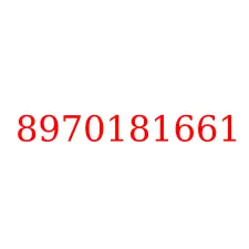 8970181661