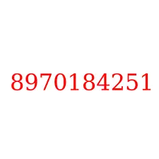 8970184251