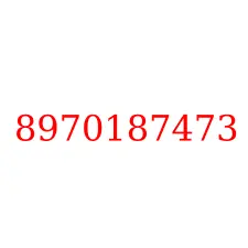 8970187473