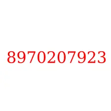 8970207923