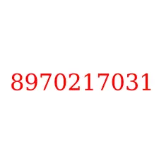 8970217031