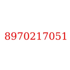 8970217051