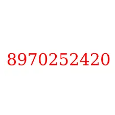 8970252420