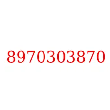 8970303870