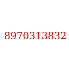8970313832