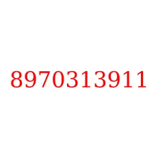 8970313911