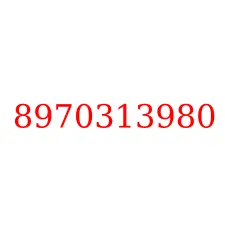 8970313980