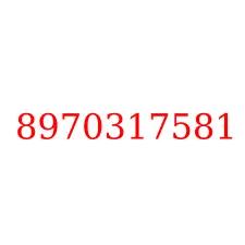 8970317581