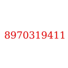 8970319411