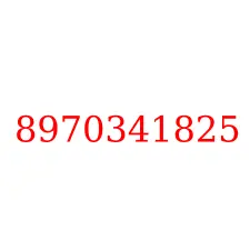 8970341825