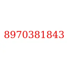 8970381843
