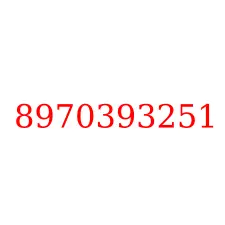 8970393251