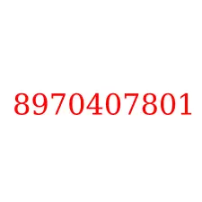 8970407801