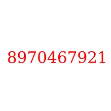 8970467921