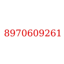 8970609261