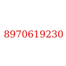 8970619230