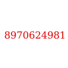 8970624981