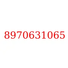 8970631065
