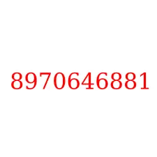 8970646881