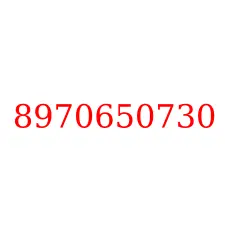 8970650730