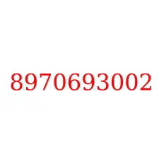 8970693002