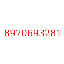 8970693281