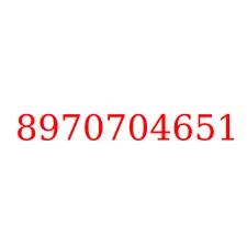 8970704651