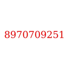 8970709251