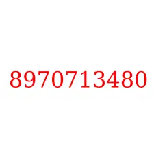 8970713480