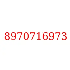 8970716973