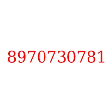 8970730781
