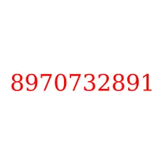 8970732891