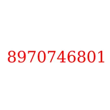 8970746801