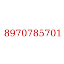 8970785701