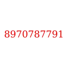 8970787791