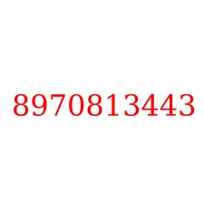 8970813443