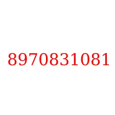 8970831081